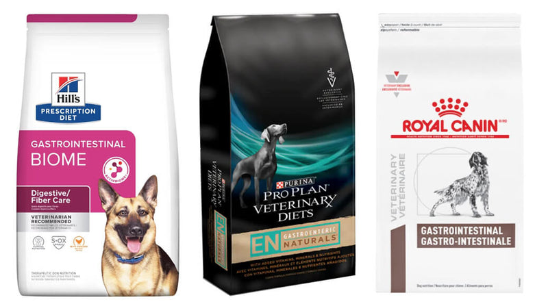 Three packages of gastrointestinal dog food are displayed. Hill's Prescription Diet with a German Shepherd, Purina Pro Plan with a silver dog silhouette, and Royal Canin featuring a dog illustration. Each emphasizes veterinary dietary care.