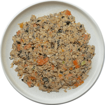 A white plate filled with NutriCanine Fresh Cooked Salmon Recipe, containing shredded fish, visible carrots, broccoli, and other vegetables, creating a colorful and appetizing appearance.