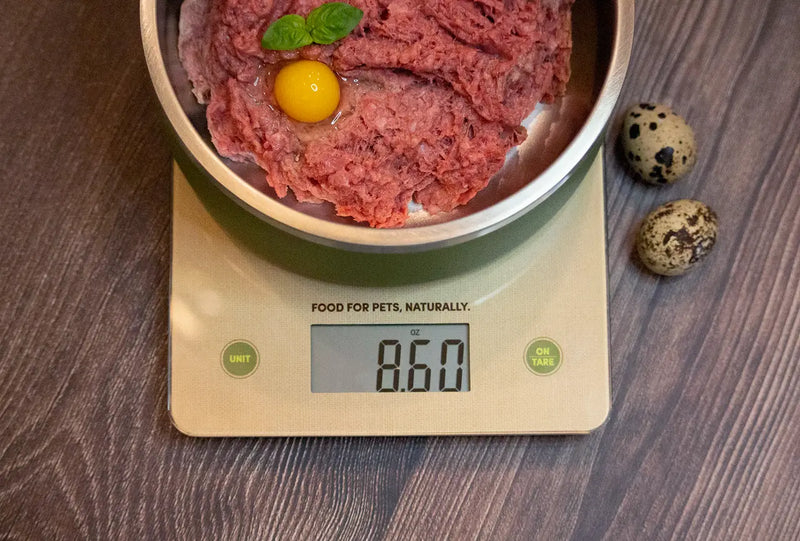 A stainless steel bowl of raw ground beef with an egg yolk on a digital pet food scale reading 8.60 ounces, emphasizing the importance of accurate portion measurement when preparing homemade dog food to avoid overfeeding and nutritional imbalances. 