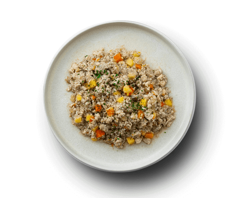 A bowl of mixed cooked chicken, rice and vegetables, featuring diced carrots and yellow peppers. Garnished with fresh green herbs, all on a white plate.