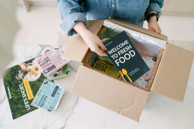 A person unboxing a NutriCanine home delivery order, removing a Welcome to Fresh Food guide from an insulated box containing gently cooked Pork, Beef, and Chicken Recipe meal packs
