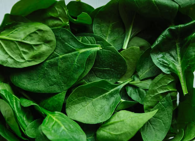 fresh baby spinach leaves white background overhead
