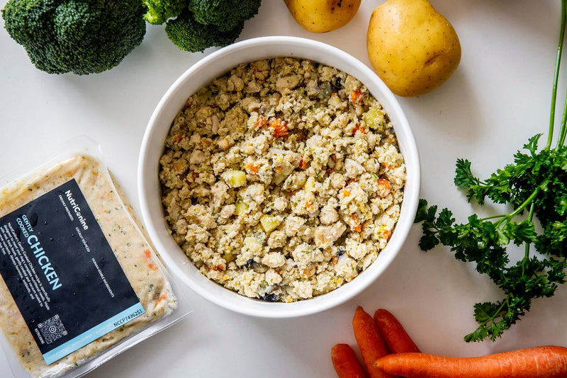 A NutriCanine gently cooked chicken meal package beside a white bowl of fresh-cooked dog food, surrounded by broccoli, potatoes, carrots, and parsley, showcasing NutriCanine as a complete and balanced alternative to DIY homemade dog food.