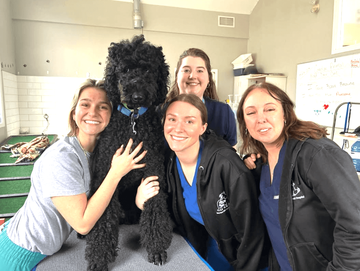 Four smiling women, likely vet staff, surround a large, curly-haired black dog on a table. The setting is a bright veterinary clinic room.