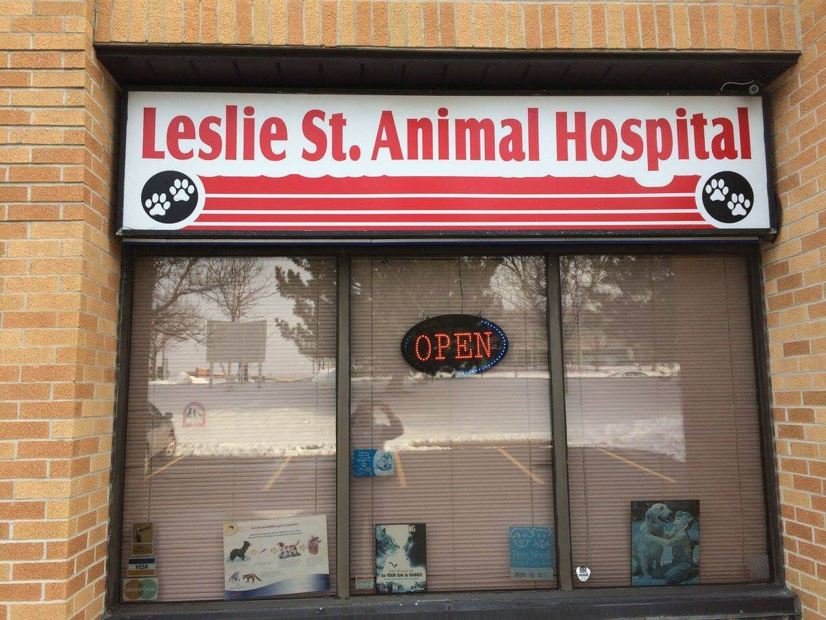 Front of Leslie St. Animal Hospital with a bright red and white sign featuring paw prints. A neon "Open" sign glows in the window.