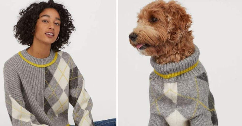 A woman and a dog wear matching gray sweaters with yellow and white argyle patterns. Both appear content, enhancing the cozy and playful mood.