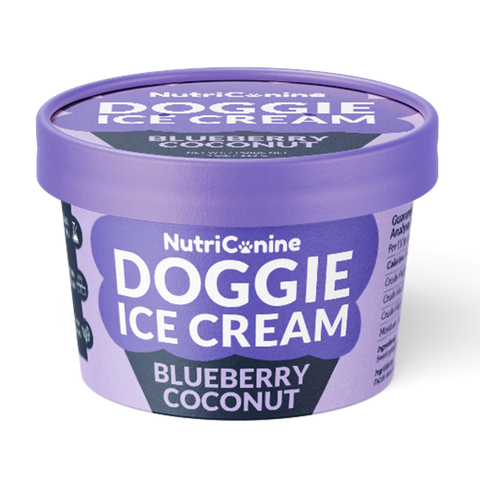 Blueberry Coconut Doggie Ice Cream