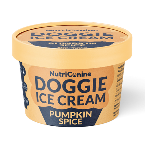Pumpkin Spice Doggie Ice Cream