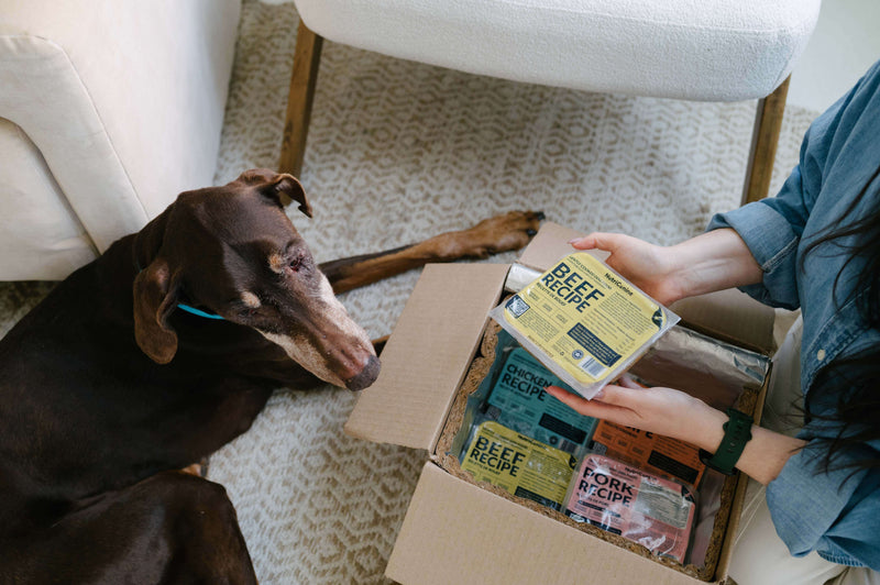 Digestive Support You Can See and Feel