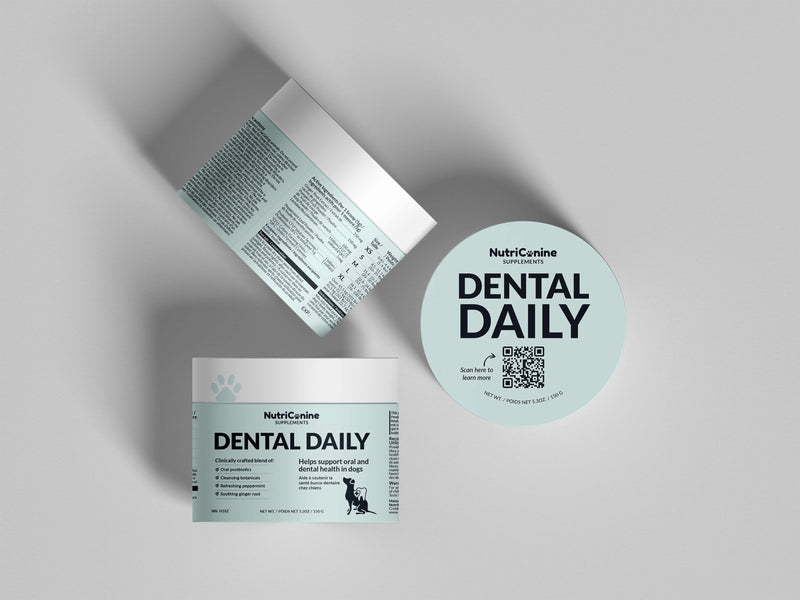 Packaging for "Dental Daily" by NutriCanine. Three containers with light blue labels and black text. Clean, clinical design.