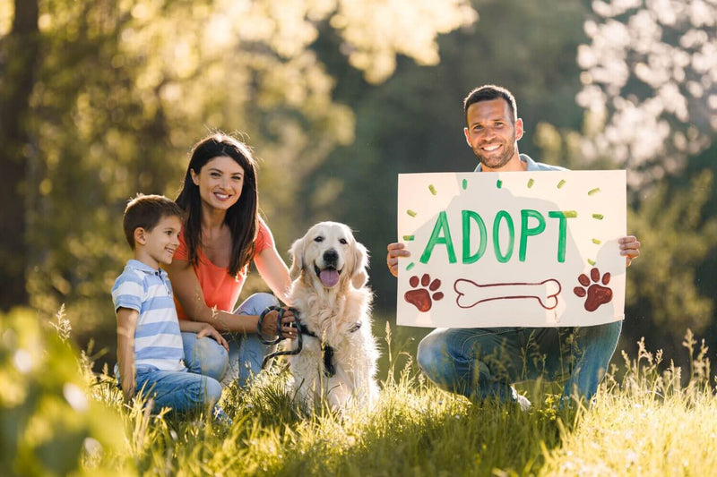 A family and a golden retriever sit on grass on a sunny day. They smile as a man holds a sign with "ADOPT" in bold letters, conveying joy and advocacy.