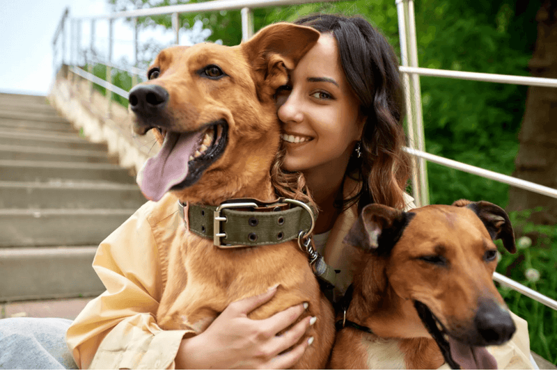 A woman smiles as she hugs two happy brown dogs on outdoor steps. The scene conveys warmth and companionship, with greenery in the background.