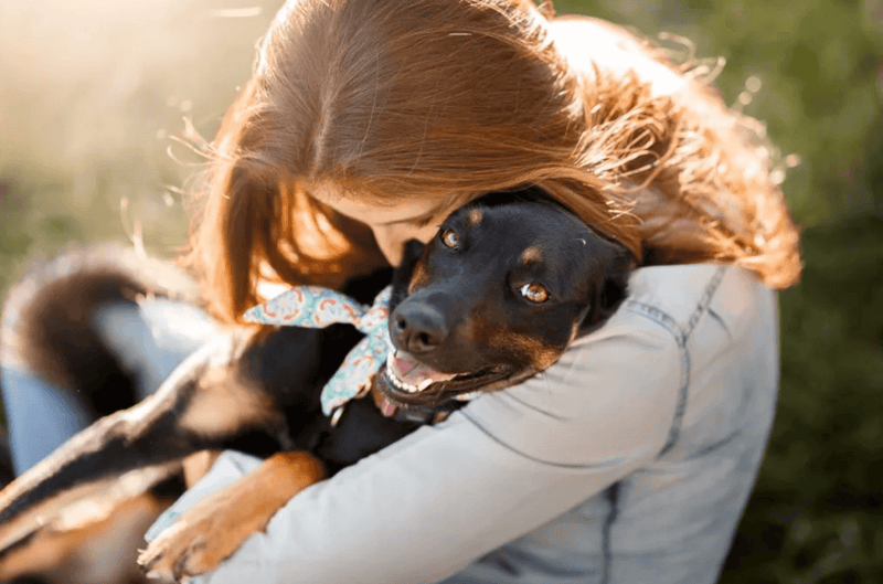 A woman with long hair embraces a happy black and tan dog wearing a patterned bandana. They are outdoors, with sunlight illuminating their joyful moment.