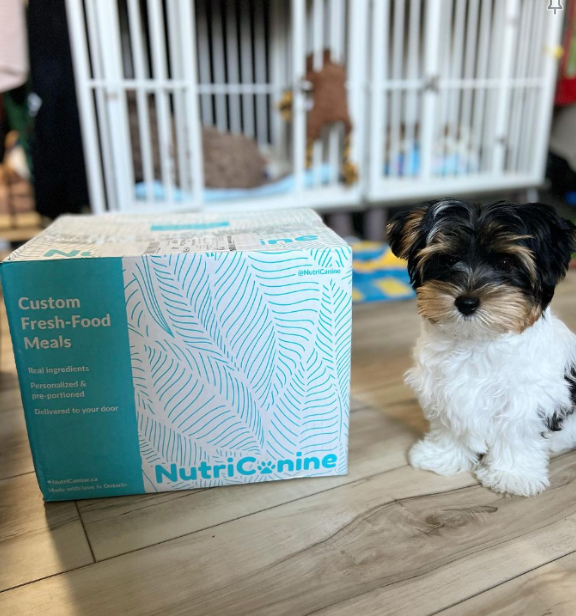 Nutricanine.ca review by Marianne S.