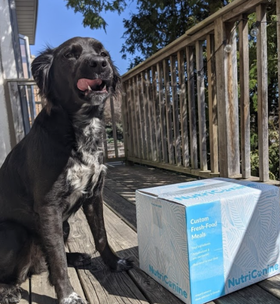 Nutricanine.ca review by Michelle J.