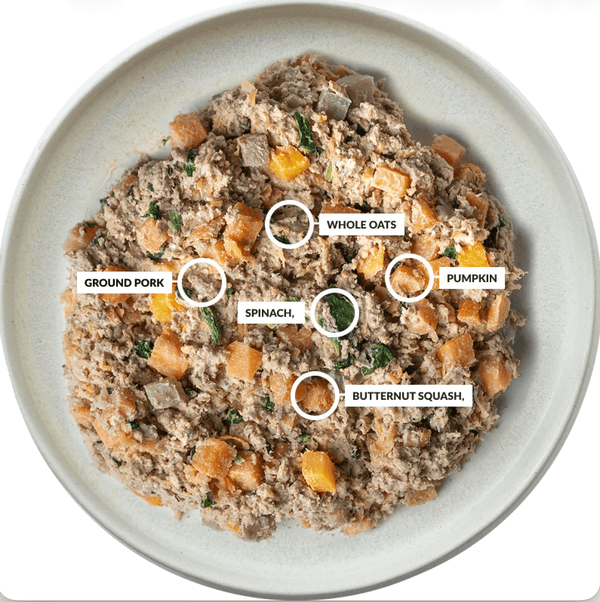 A bowl of mixed food featuring labeled ingredients: ground pork, whole oats, pumpkin, spinach, and butternut squash. Nutritious and wholesome.