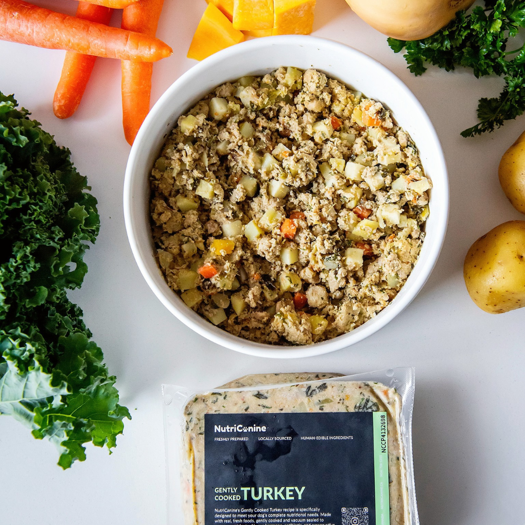 Fresh Dog Food Gently Cooked Turkey Recipe