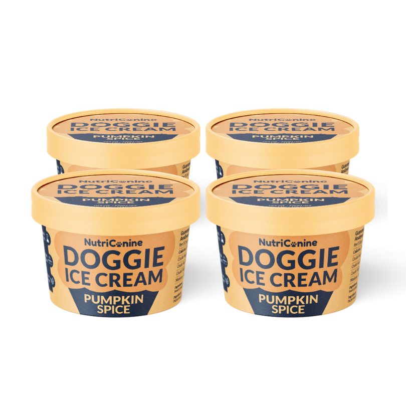 Pumpkin Spice Doggie Ice Cream (4-Pack)