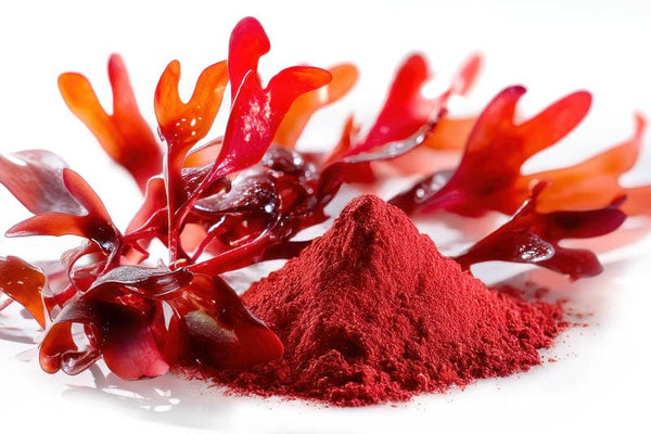 Astaxanthin