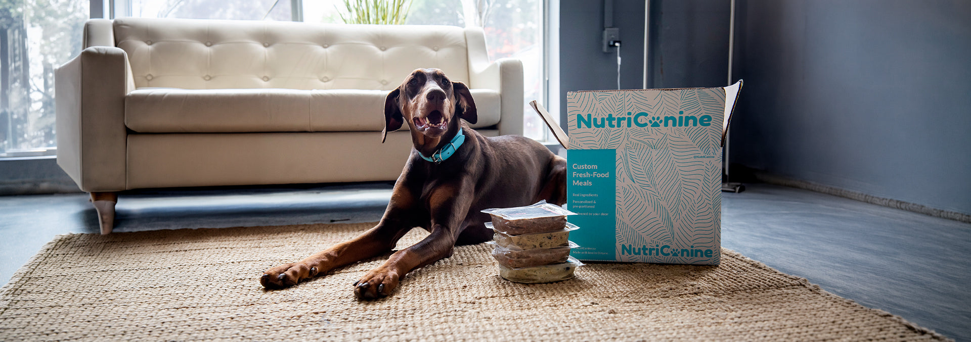 Happy dog with NutriCanine fresh-food box